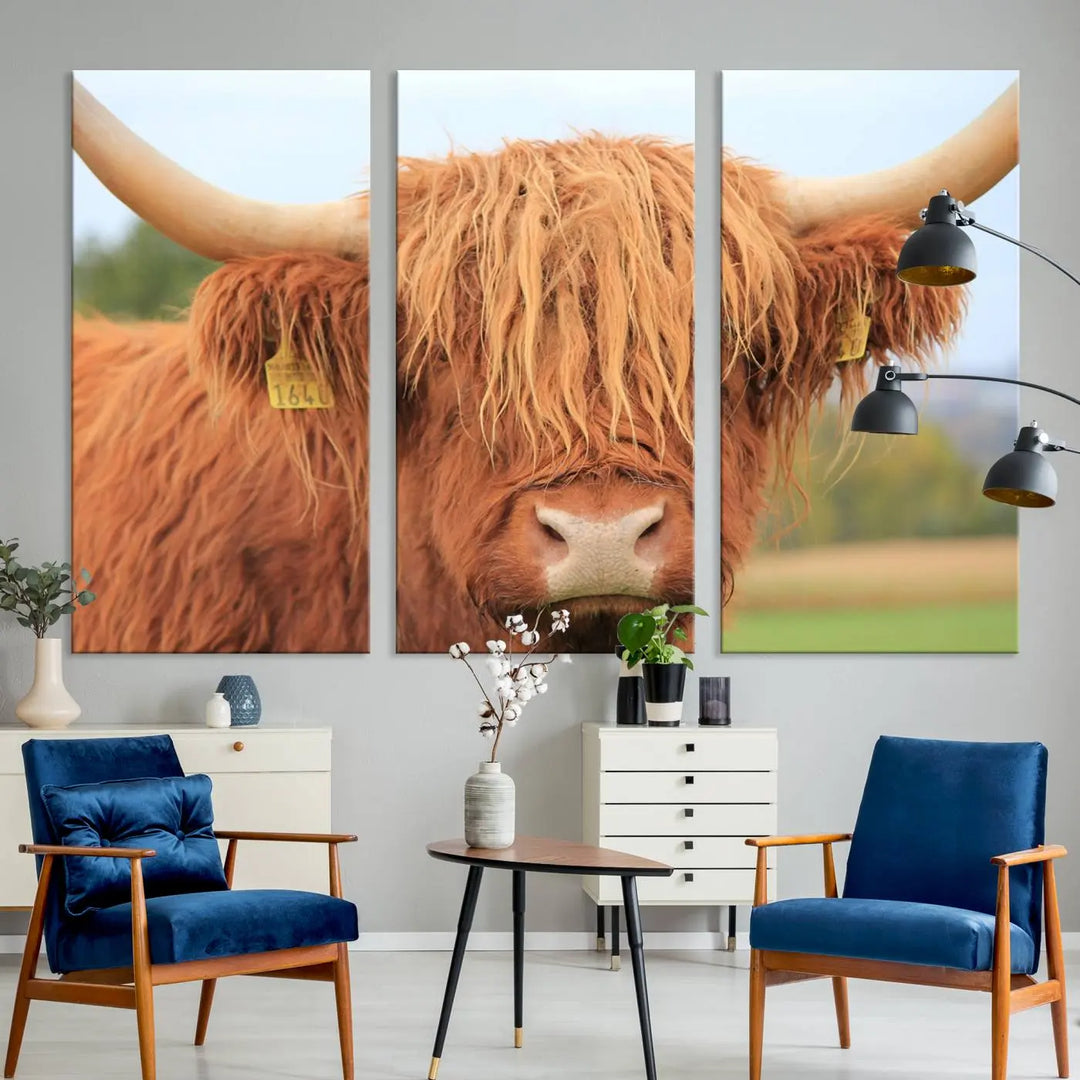 A multi-panel canvas set artwork features a close-up of a Highland cow with long horns and shaggy fur, displayed gallery-wrapped on museum-quality canvas with UV-protective coating. It hangs elegantly on a dark wall.