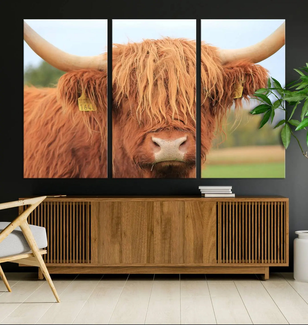 Highland Cow Close-up Canvas Wall Art Print Multi Panel Canvas Set Artwork 