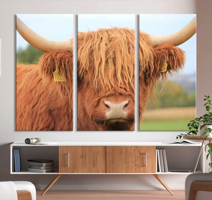 A multi-panel canvas set artwork features a close-up of a Highland cow with long horns and shaggy fur, displayed gallery-wrapped on museum-quality canvas with UV-protective coating. It hangs elegantly on a dark wall.