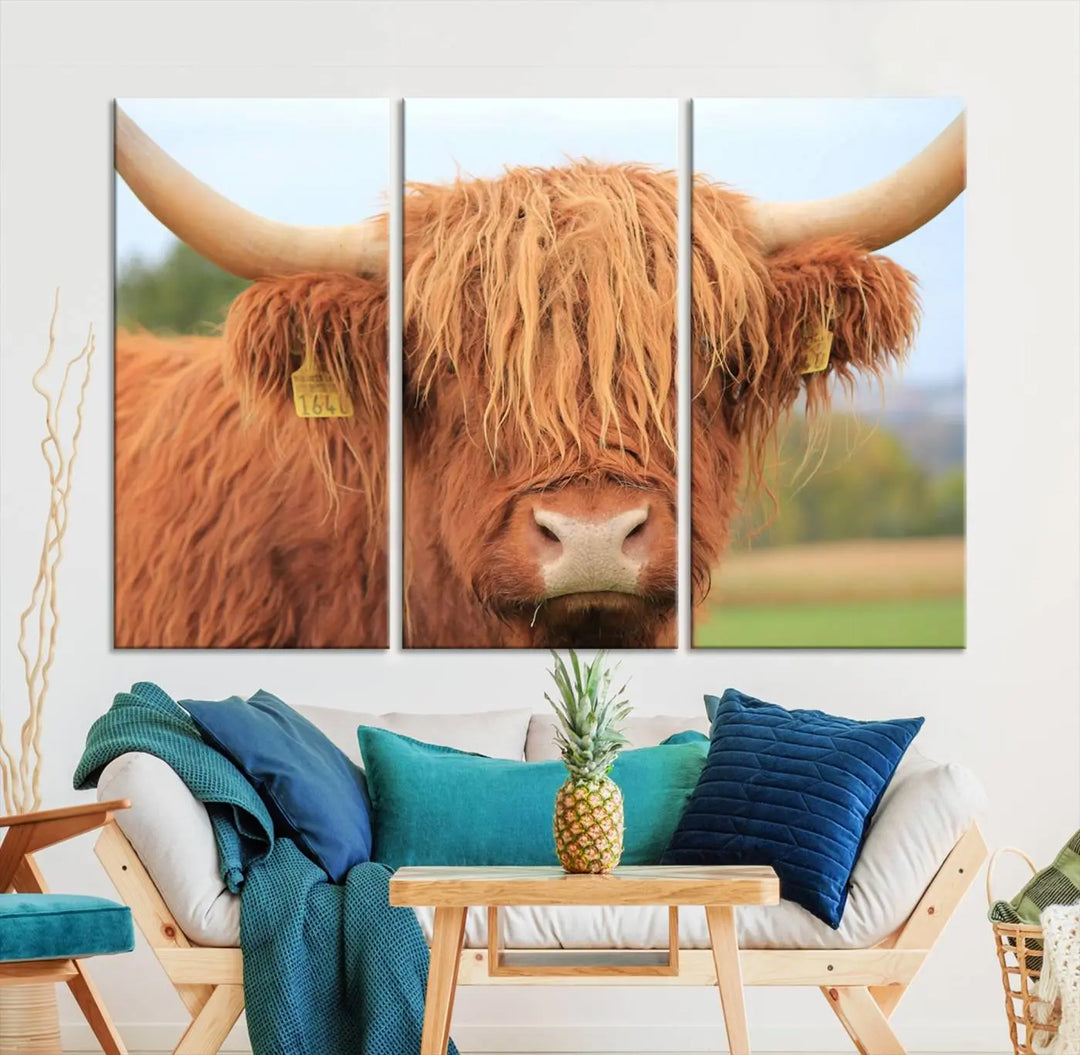 A multi-panel canvas set artwork features a close-up of a Highland cow with long horns and shaggy fur, displayed gallery-wrapped on museum-quality canvas with UV-protective coating. It hangs elegantly on a dark wall.