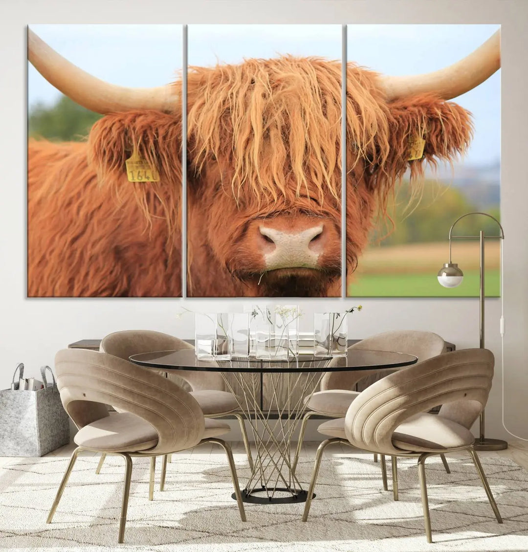 A multi-panel canvas set artwork features a close-up of a Highland cow with long horns and shaggy fur, displayed gallery-wrapped on museum-quality canvas with UV-protective coating. It hangs elegantly on a dark wall.