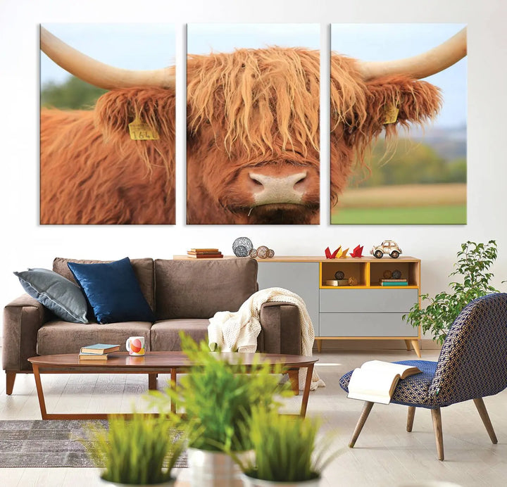 A multi-panel canvas set artwork features a close-up of a Highland cow with long horns and shaggy fur, displayed gallery-wrapped on museum-quality canvas with UV-protective coating. It hangs elegantly on a dark wall.