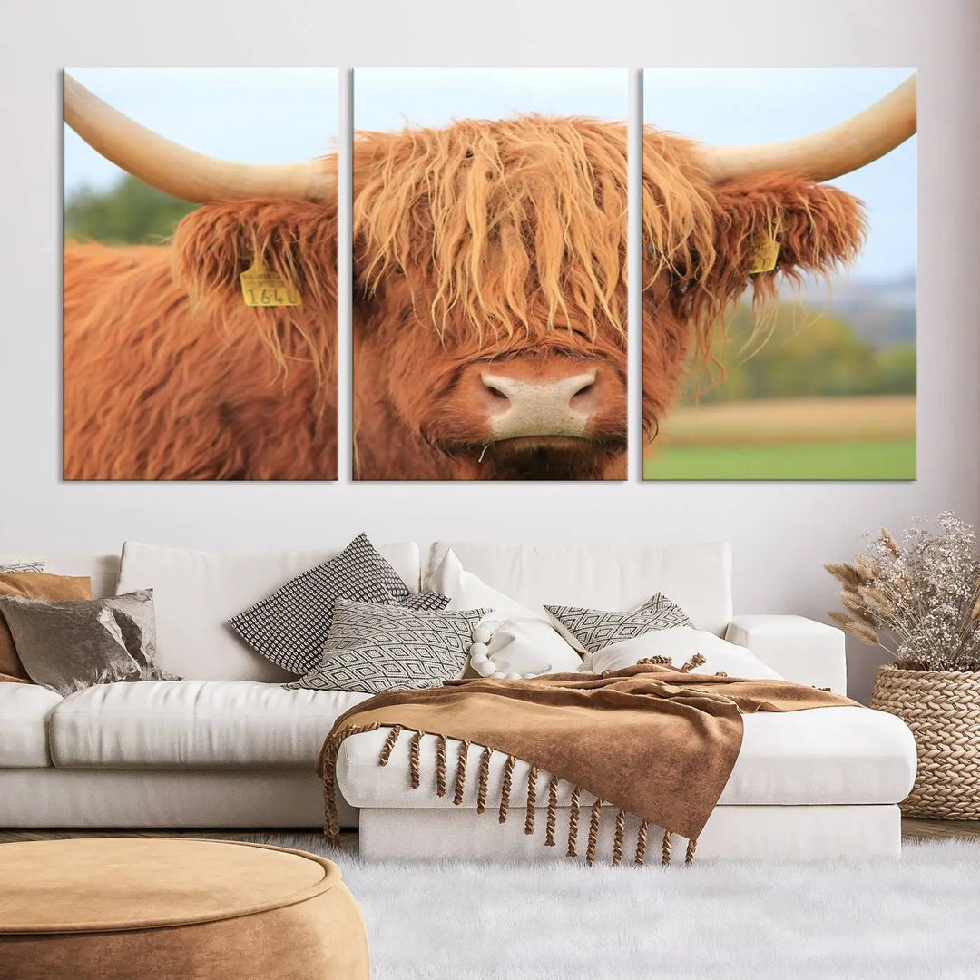 A multi-panel canvas set artwork features a close-up of a Highland cow with long horns and shaggy fur, displayed gallery-wrapped on museum-quality canvas with UV-protective coating. It hangs elegantly on a dark wall.