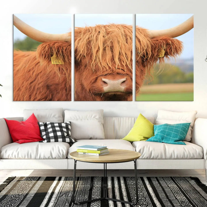 A multi-panel canvas set artwork features a close-up of a Highland cow with long horns and shaggy fur, displayed gallery-wrapped on museum-quality canvas with UV-protective coating. It hangs elegantly on a dark wall.