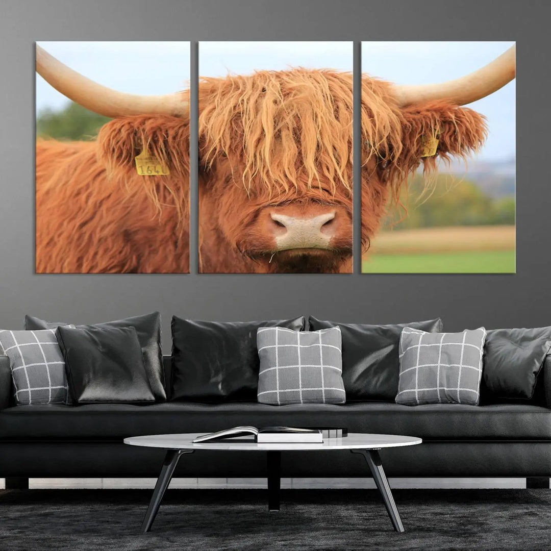 Highland Cow Close-up Canvas Wall Art Print Multi Panel Canvas Set Artwork 