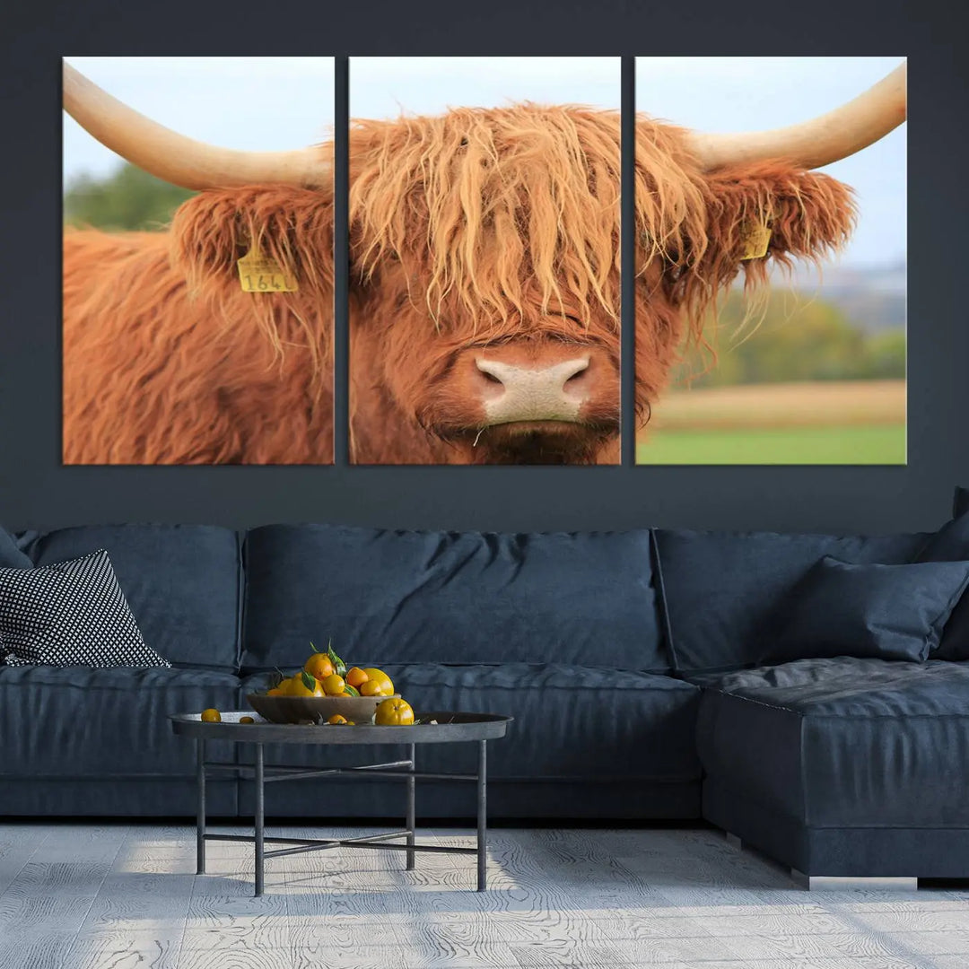 Highland Cow Close-up Canvas Wall Art Print Multi Panel Canvas Set Artwork 