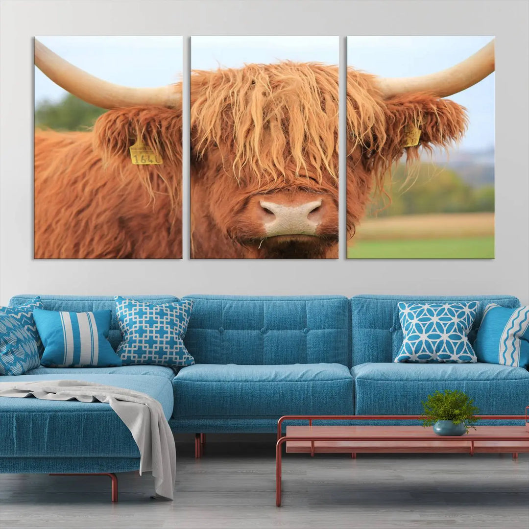 A multi-panel canvas set artwork features a close-up of a Highland cow with long horns and shaggy fur, displayed gallery-wrapped on museum-quality canvas with UV-protective coating. It hangs elegantly on a dark wall.