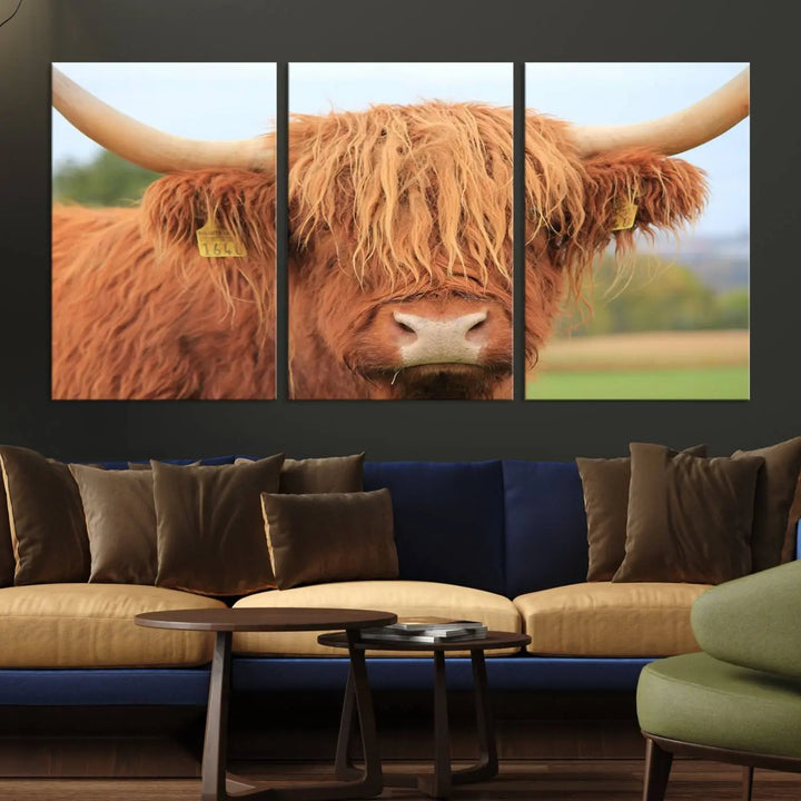 A multi-panel canvas set artwork features a close-up of a Highland cow with long horns and shaggy fur, displayed gallery-wrapped on museum-quality canvas with UV-protective coating. It hangs elegantly on a dark wall.