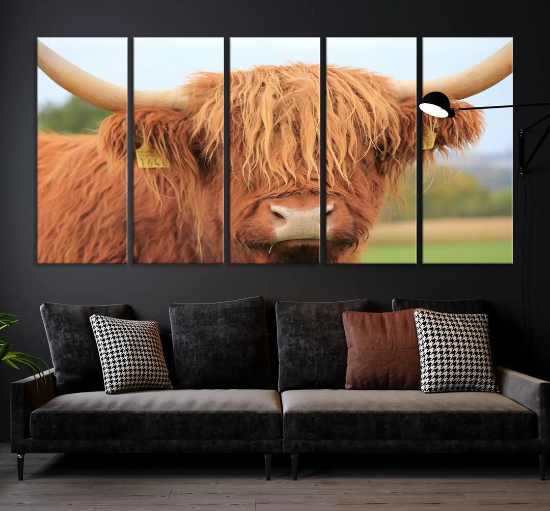 A multi-panel canvas set artwork features a close-up of a Highland cow with long horns and shaggy fur, displayed gallery-wrapped on museum-quality canvas with UV-protective coating. It hangs elegantly on a dark wall.