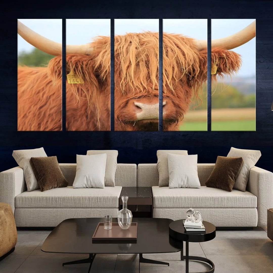 A multi-panel canvas set artwork features a close-up of a Highland cow with long horns and shaggy fur, displayed gallery-wrapped on museum-quality canvas with UV-protective coating. It hangs elegantly on a dark wall.