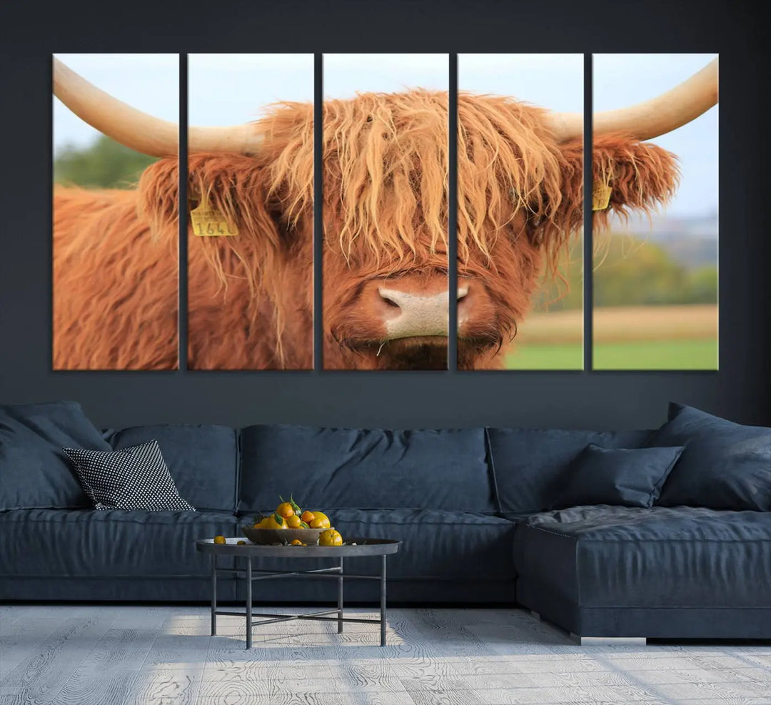 A multi-panel canvas set artwork features a close-up of a Highland cow with long horns and shaggy fur, displayed gallery-wrapped on museum-quality canvas with UV-protective coating. It hangs elegantly on a dark wall.