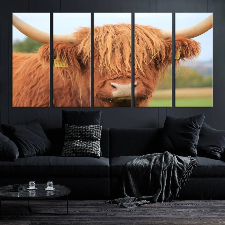 A multi-panel canvas set artwork features a close-up of a Highland cow with long horns and shaggy fur, displayed gallery-wrapped on museum-quality canvas with UV-protective coating. It hangs elegantly on a dark wall.