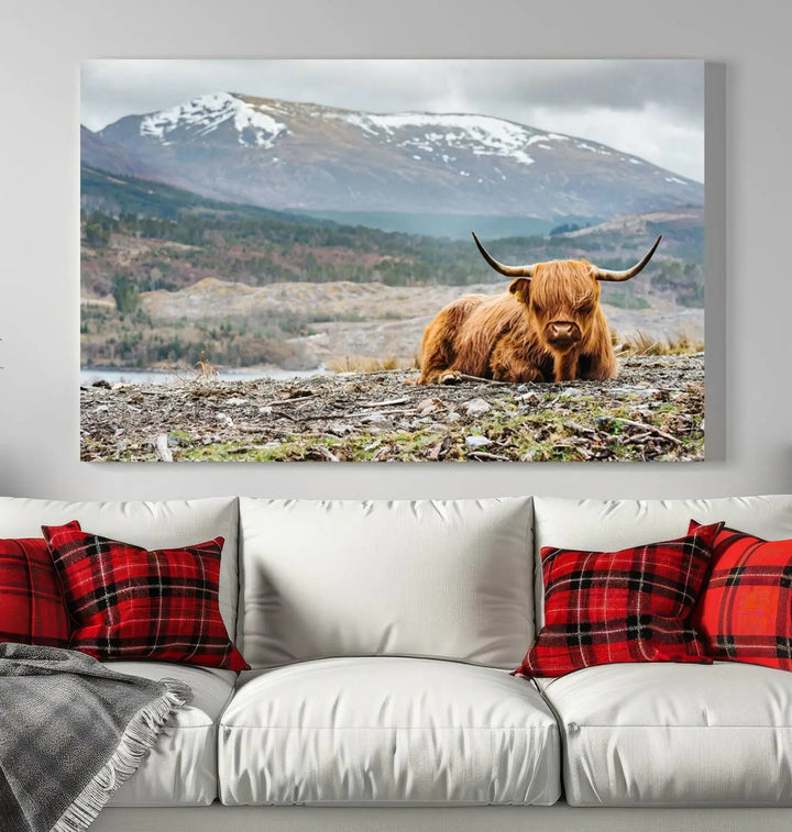 The Highland Cow Horn Farm Wall Art Canvas Print showcases a serene scene of a highland cow resting with snow-capped mountains in the background. This three-panel, museum-quality canvas features a UV-protective coating and is ready to hang.