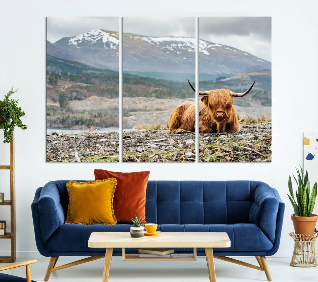 The Highland Cow Horn Farm Wall Art Canvas Print showcases a serene scene of a highland cow resting with snow-capped mountains in the background. This three-panel, museum-quality canvas features a UV-protective coating and is ready to hang.