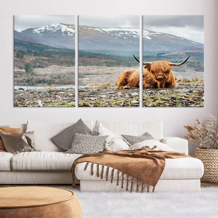 The Highland Cow Horn Farm Wall Art Canvas Print showcases a serene scene of a highland cow resting with snow-capped mountains in the background. This three-panel, museum-quality canvas features a UV-protective coating and is ready to hang.