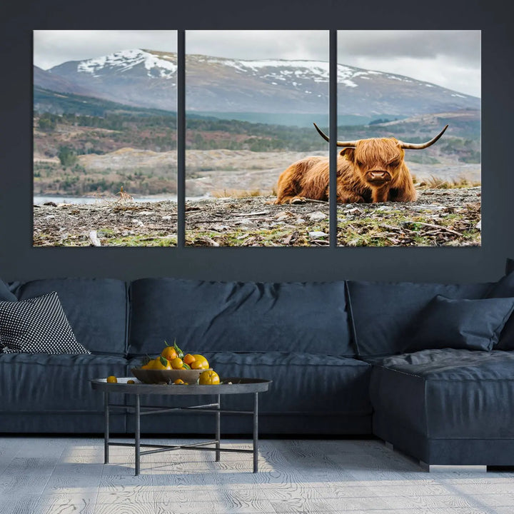 The Highland Cow Horn Farm Wall Art Canvas Print showcases a serene scene of a highland cow resting with snow-capped mountains in the background. This three-panel, museum-quality canvas features a UV-protective coating and is ready to hang.