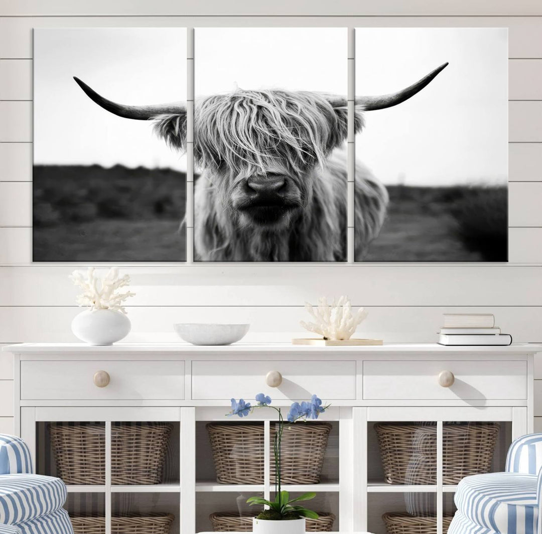 Highland Cow Wall Art | Black and White Farmhouse Decor | Triptych Canvas Print | Rustic Barn Decor | Scottish Highland Cattle Art Print