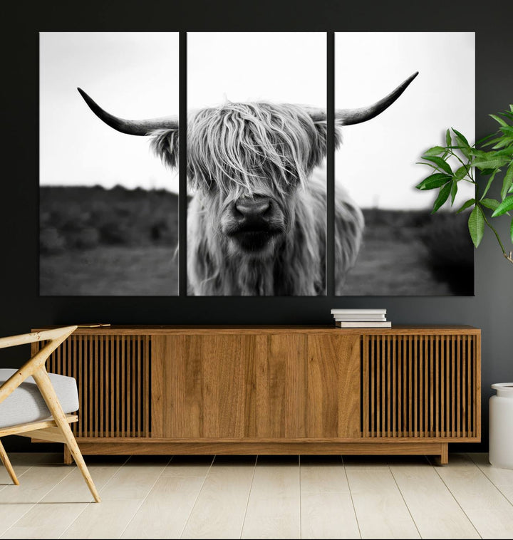 Highland Cow Wall Art | Black and White Farmhouse Decor | Triptych Canvas Print | Rustic Barn Decor | Scottish Highland Cattle Art Print