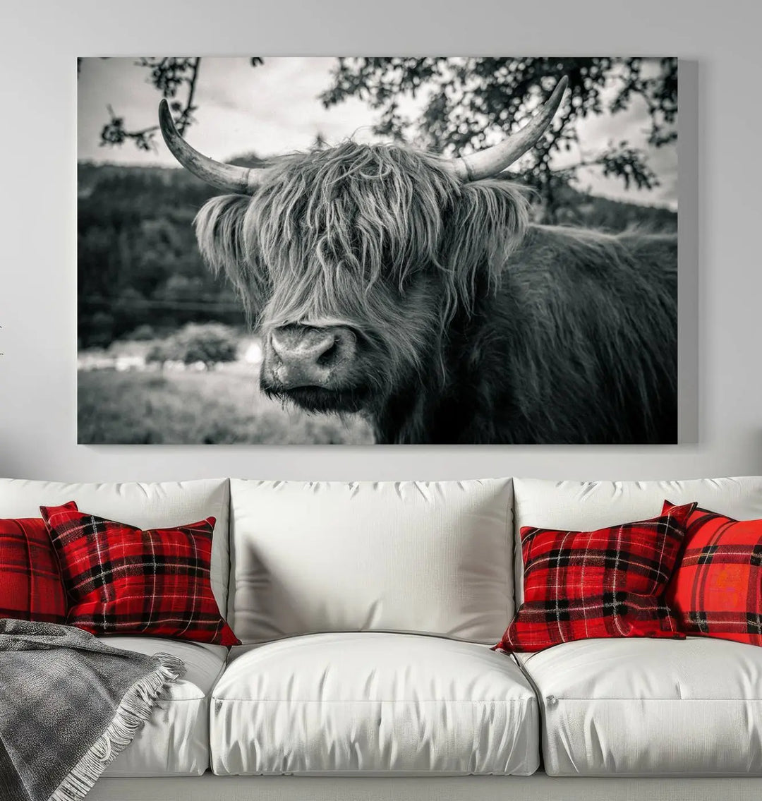 Highland Cow Wall Art Canvas Print Scottish Cattle Canvas Art 