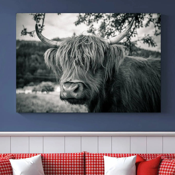 Highland Cow Wall Art Canvas Print Scottish Cattle Canvas Art 