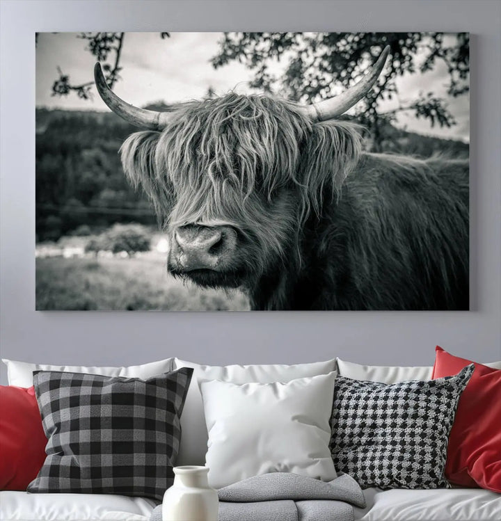 Highland Cow Wall Art Canvas Print Scottish Cattle Canvas Art 