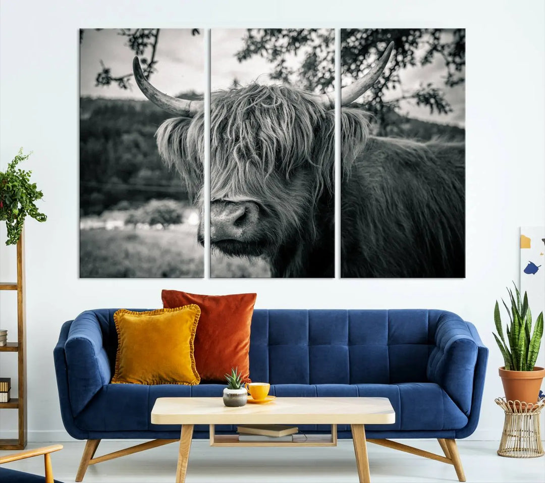 The stylish living room showcases the "Highland Cow Wall Art Canvas Print Scottish Cattle Canvas Art" displayed as a triptych on the wall. This artwork is gallery wrapped on museum-quality canvas with a UV-protective coating for lasting elegance.