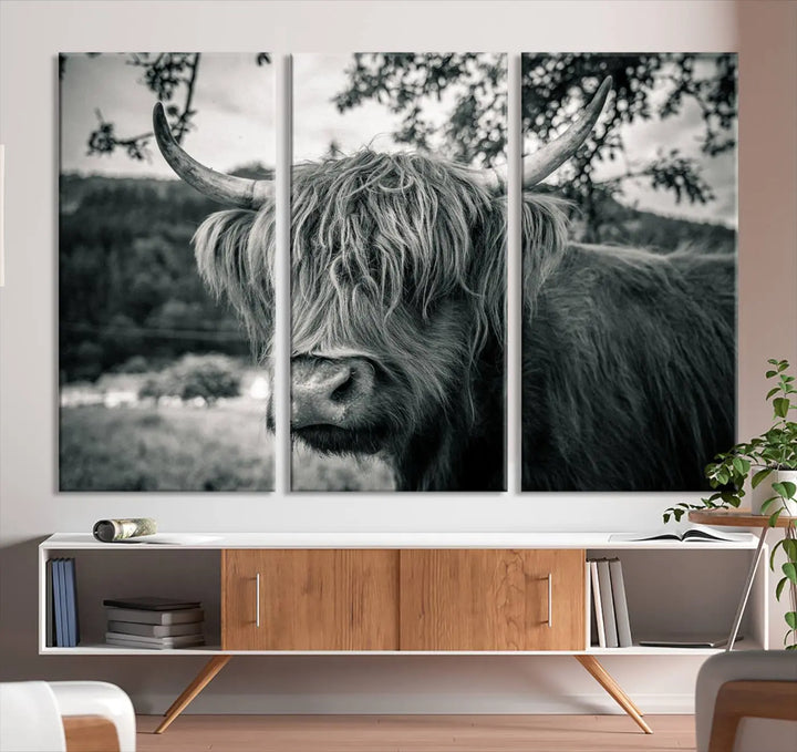 The stylish living room showcases the "Highland Cow Wall Art Canvas Print Scottish Cattle Canvas Art" displayed as a triptych on the wall. This artwork is gallery wrapped on museum-quality canvas with a UV-protective coating for lasting elegance.