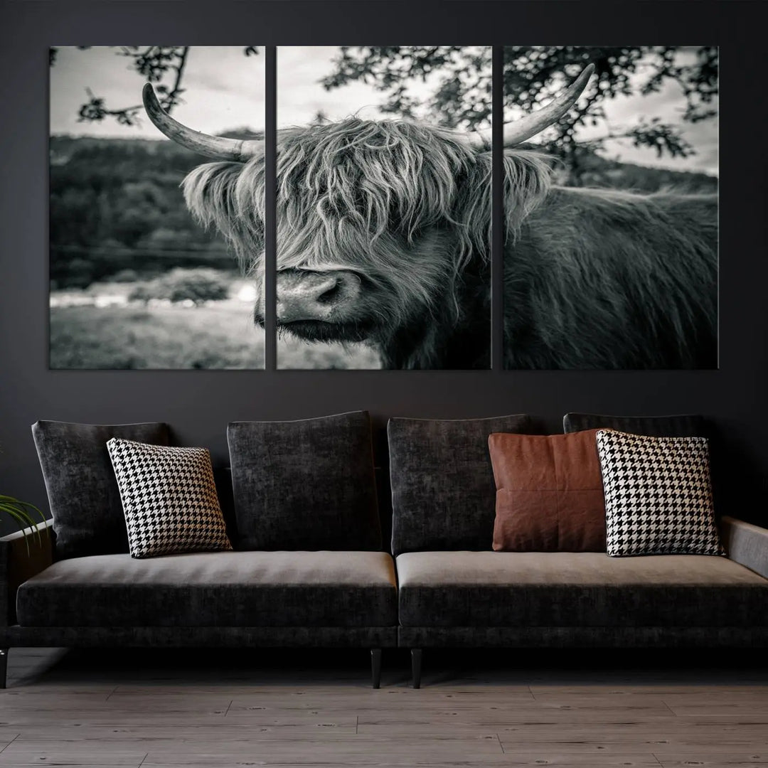 The stylish living room showcases the "Highland Cow Wall Art Canvas Print Scottish Cattle Canvas Art" displayed as a triptych on the wall. This artwork is gallery wrapped on museum-quality canvas with a UV-protective coating for lasting elegance.