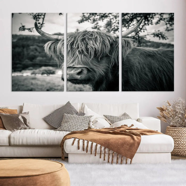 The stylish living room showcases the "Highland Cow Wall Art Canvas Print Scottish Cattle Canvas Art" displayed as a triptych on the wall. This artwork is gallery wrapped on museum-quality canvas with a UV-protective coating for lasting elegance.