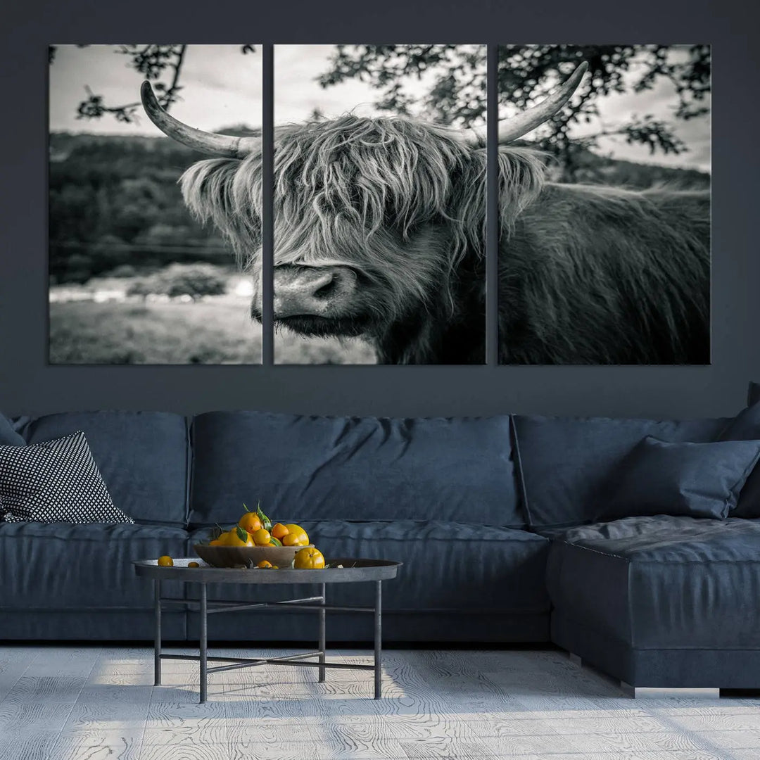 The stylish living room showcases the "Highland Cow Wall Art Canvas Print Scottish Cattle Canvas Art" displayed as a triptych on the wall. This artwork is gallery wrapped on museum-quality canvas with a UV-protective coating for lasting elegance.