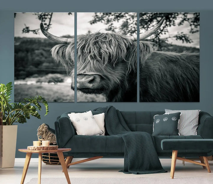 The stylish living room showcases the "Highland Cow Wall Art Canvas Print Scottish Cattle Canvas Art" displayed as a triptych on the wall. This artwork is gallery wrapped on museum-quality canvas with a UV-protective coating for lasting elegance.