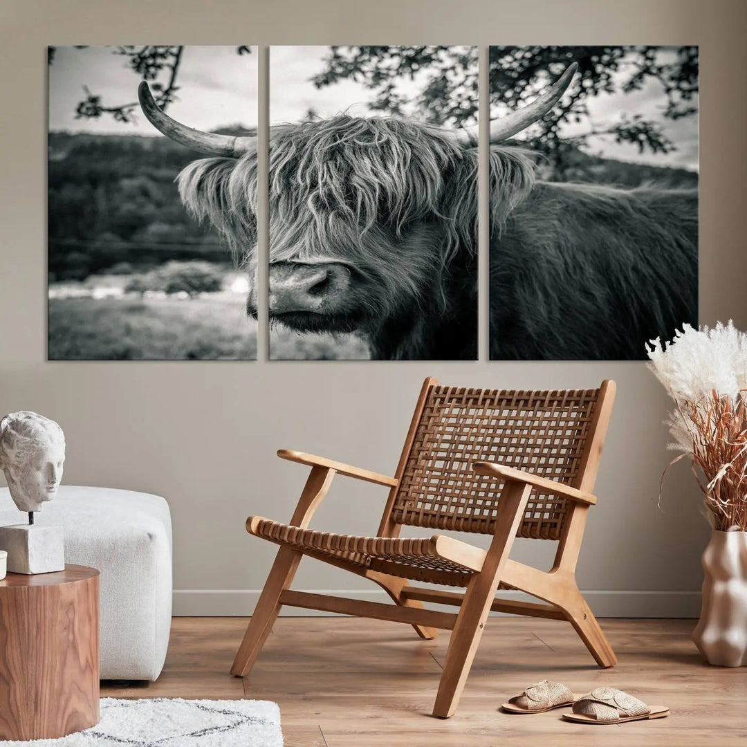 The stylish living room showcases the "Highland Cow Wall Art Canvas Print Scottish Cattle Canvas Art" displayed as a triptych on the wall. This artwork is gallery wrapped on museum-quality canvas with a UV-protective coating for lasting elegance.