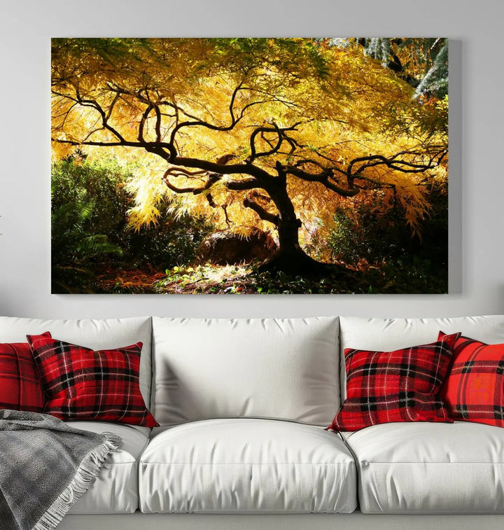 A triptych featuring the "Japanese Maple in Autumn" serves as a stunning centerpiece, set against a bright backdrop. These museum-quality canvas prints are ready to hang, effortlessly enhancing your home decor with an artistic touch.