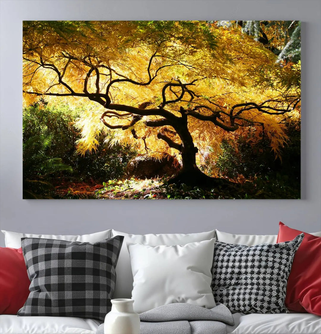 A triptych featuring the "Japanese Maple in Autumn" serves as a stunning centerpiece, set against a bright backdrop. These museum-quality canvas prints are ready to hang, effortlessly enhancing your home decor with an artistic touch.