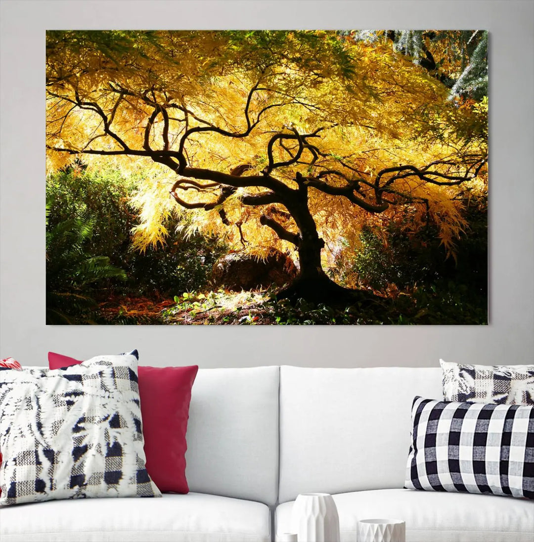 A triptych featuring the "Japanese Maple in Autumn" serves as a stunning centerpiece, set against a bright backdrop. These museum-quality canvas prints are ready to hang, effortlessly enhancing your home decor with an artistic touch.