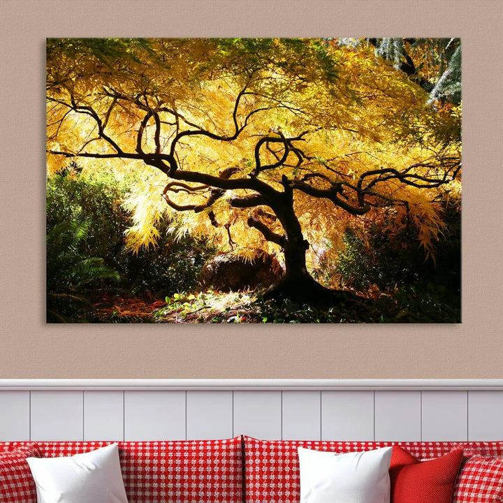 A triptych featuring the "Japanese Maple in Autumn" serves as a stunning centerpiece, set against a bright backdrop. These museum-quality canvas prints are ready to hang, effortlessly enhancing your home decor with an artistic touch.