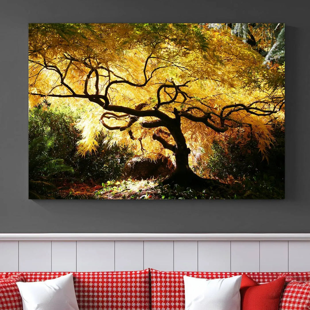 A triptych featuring the "Japanese Maple in Autumn" serves as a stunning centerpiece, set against a bright backdrop. These museum-quality canvas prints are ready to hang, effortlessly enhancing your home decor with an artistic touch.