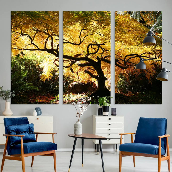 A triptych featuring the "Japanese Maple in Autumn" serves as a stunning centerpiece, set against a bright backdrop. These museum-quality canvas prints are ready to hang, effortlessly enhancing your home decor with an artistic touch.