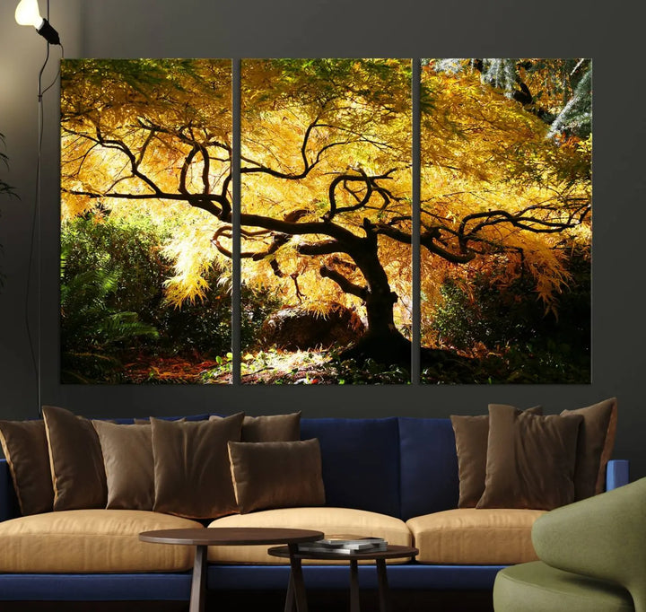 A triptych featuring the "Japanese Maple in Autumn" serves as a stunning centerpiece, set against a bright backdrop. These museum-quality canvas prints are ready to hang, effortlessly enhancing your home decor with an artistic touch.