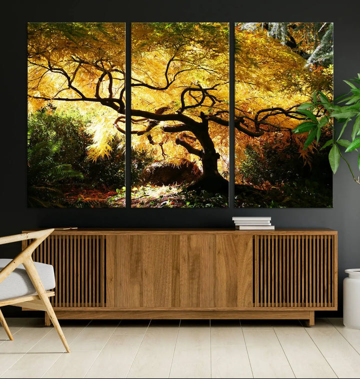 A triptych featuring the "Japanese Maple in Autumn" serves as a stunning centerpiece, set against a bright backdrop. These museum-quality canvas prints are ready to hang, effortlessly enhancing your home decor with an artistic touch.