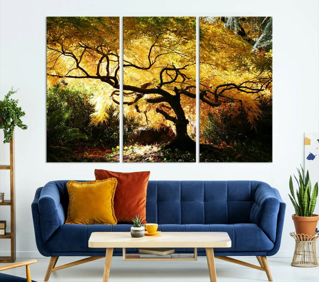 A triptych featuring the "Japanese Maple in Autumn" serves as a stunning centerpiece, set against a bright backdrop. These museum-quality canvas prints are ready to hang, effortlessly enhancing your home decor with an artistic touch.