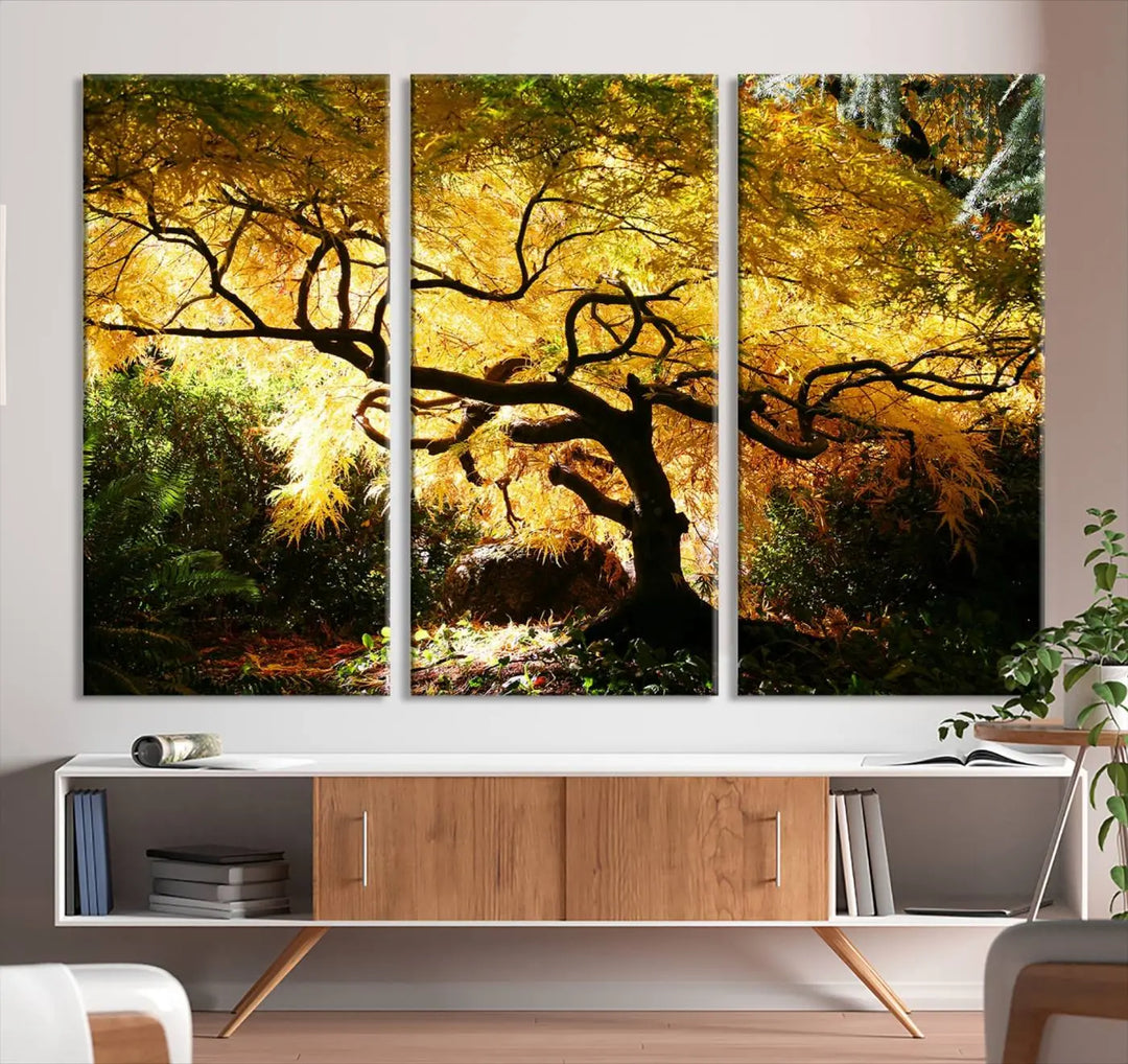 A triptych featuring the "Japanese Maple in Autumn" serves as a stunning centerpiece, set against a bright backdrop. These museum-quality canvas prints are ready to hang, effortlessly enhancing your home decor with an artistic touch.