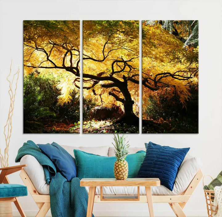 A triptych featuring the "Japanese Maple in Autumn" serves as a stunning centerpiece, set against a bright backdrop. These museum-quality canvas prints are ready to hang, effortlessly enhancing your home decor with an artistic touch.