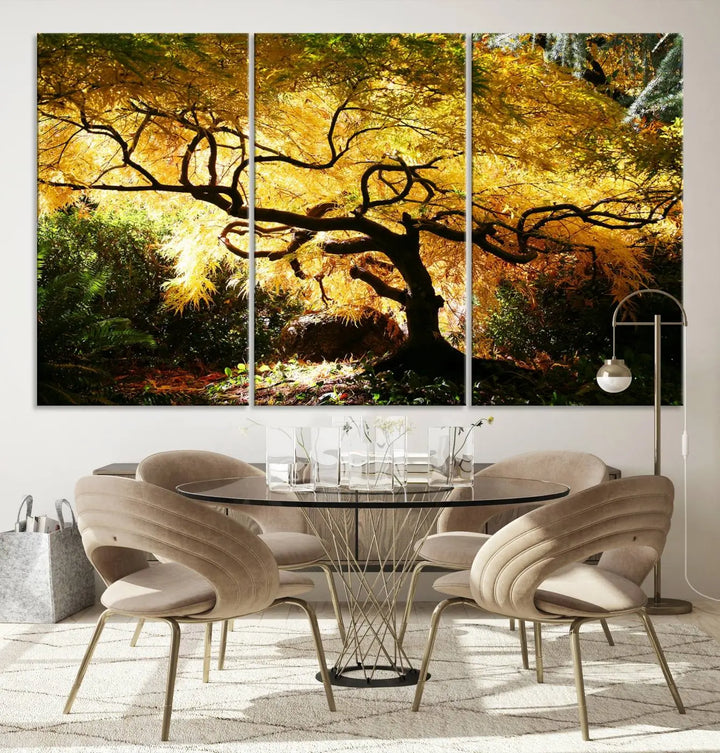 A triptych featuring the "Japanese Maple in Autumn" serves as a stunning centerpiece, set against a bright backdrop. These museum-quality canvas prints are ready to hang, effortlessly enhancing your home decor with an artistic touch.