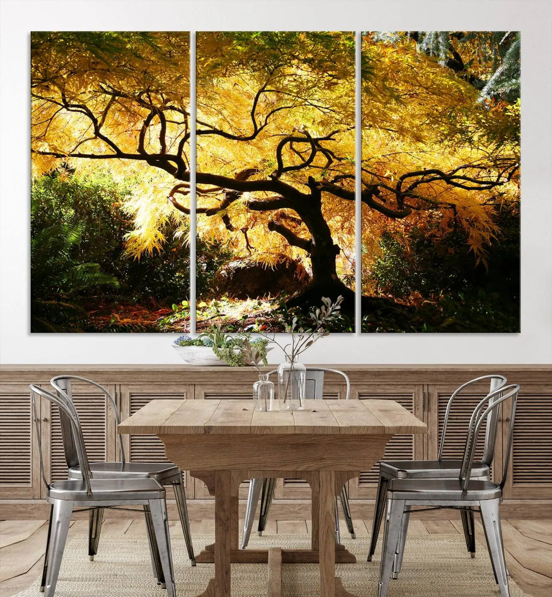 A triptych featuring the "Japanese Maple in Autumn" serves as a stunning centerpiece, set against a bright backdrop. These museum-quality canvas prints are ready to hang, effortlessly enhancing your home decor with an artistic touch.