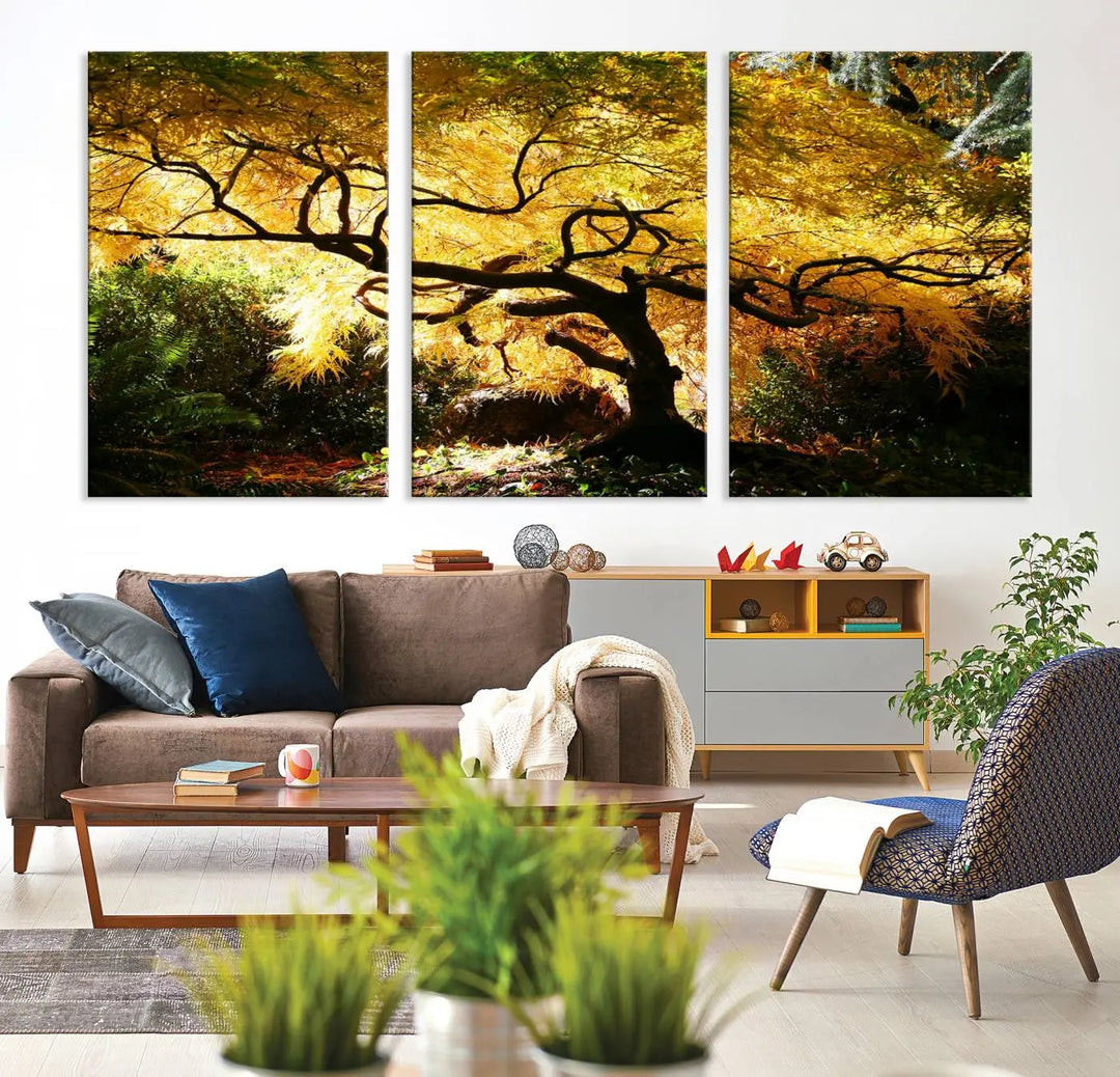 A triptych featuring the "Japanese Maple in Autumn" serves as a stunning centerpiece, set against a bright backdrop. These museum-quality canvas prints are ready to hang, effortlessly enhancing your home decor with an artistic touch.