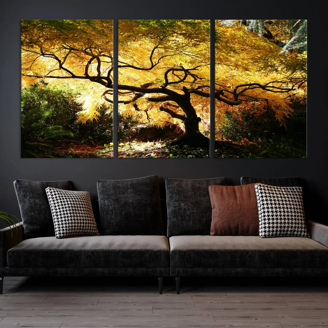 A triptych featuring the "Japanese Maple in Autumn" serves as a stunning centerpiece, set against a bright backdrop. These museum-quality canvas prints are ready to hang, effortlessly enhancing your home decor with an artistic touch.