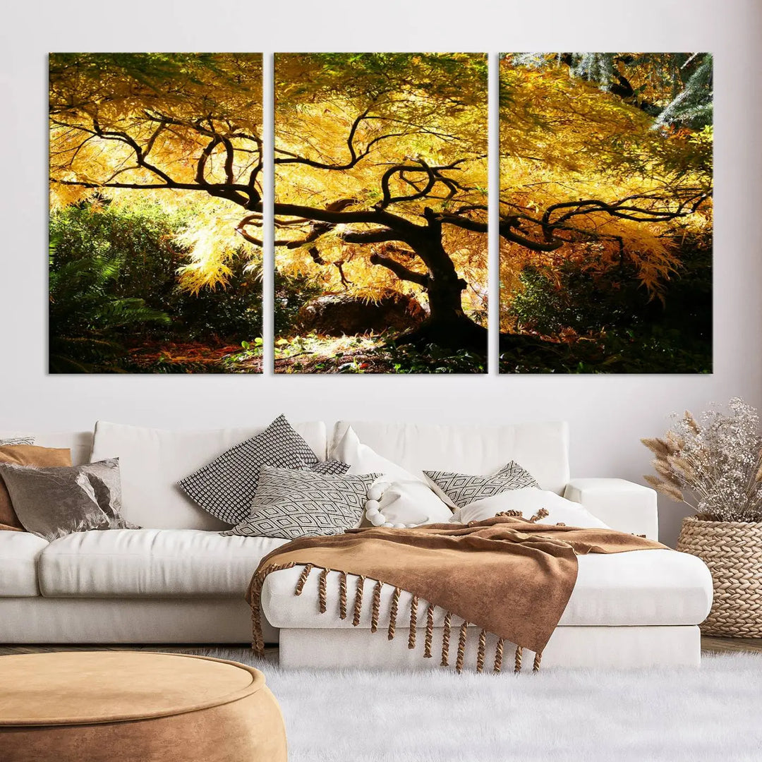 A triptych featuring the "Japanese Maple in Autumn" serves as a stunning centerpiece, set against a bright backdrop. These museum-quality canvas prints are ready to hang, effortlessly enhancing your home decor with an artistic touch.