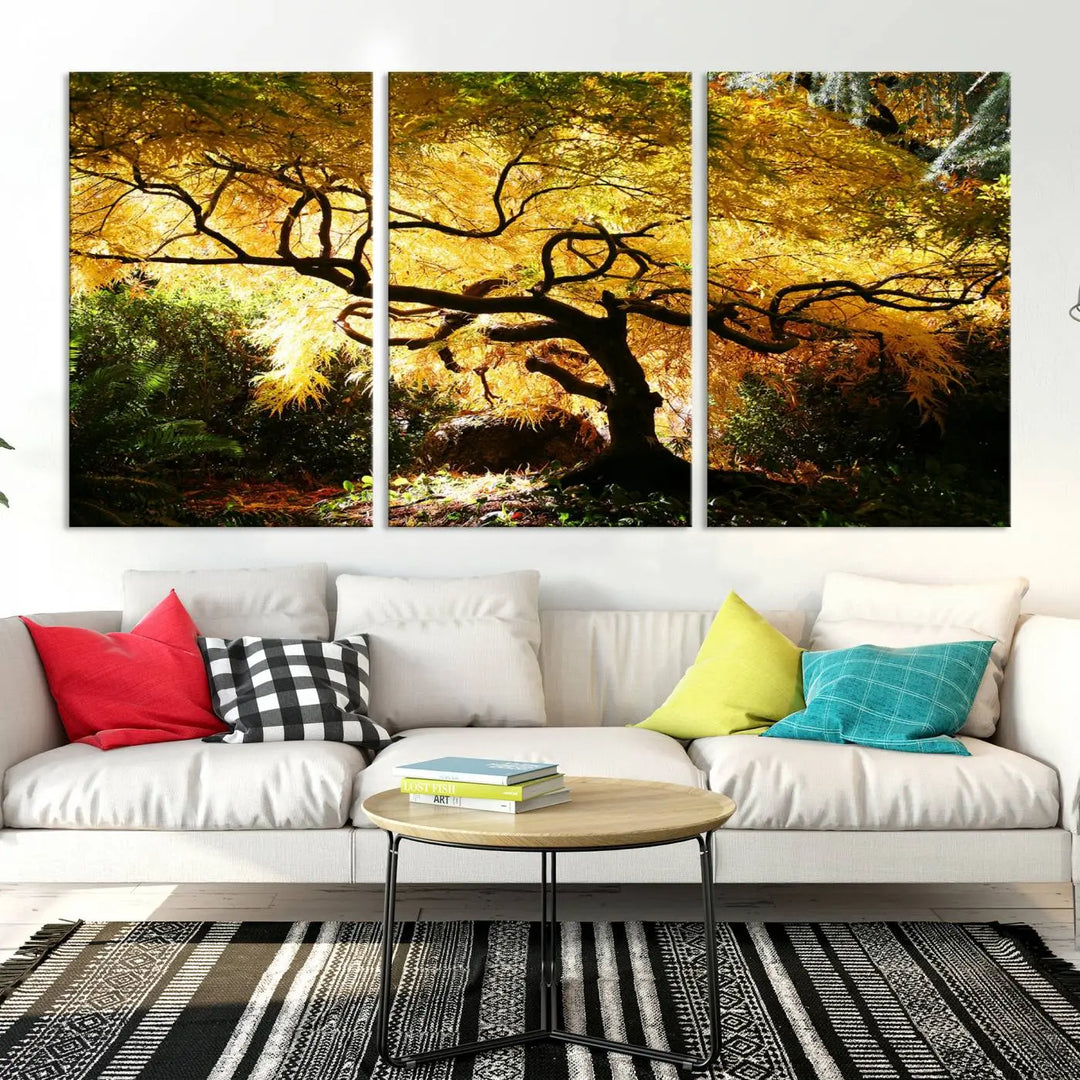 A triptych featuring the "Japanese Maple in Autumn" serves as a stunning centerpiece, set against a bright backdrop. These museum-quality canvas prints are ready to hang, effortlessly enhancing your home decor with an artistic touch.