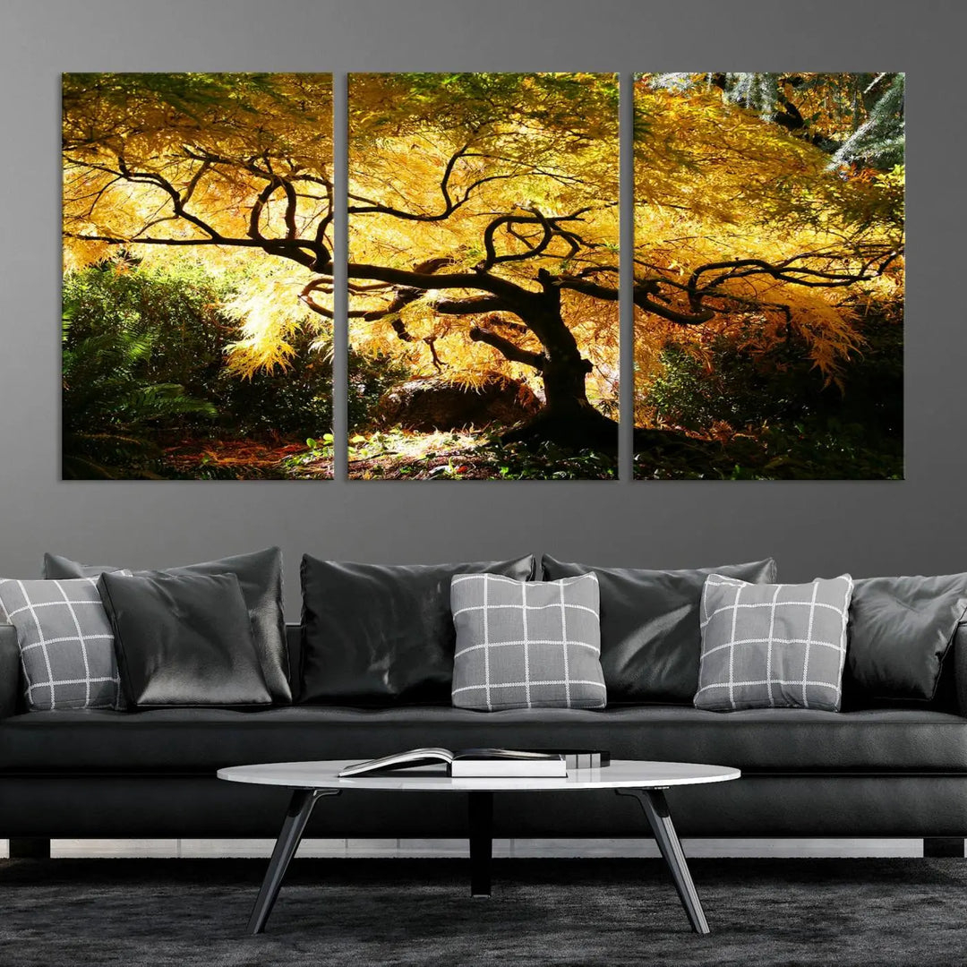 A triptych featuring the "Japanese Maple in Autumn" serves as a stunning centerpiece, set against a bright backdrop. These museum-quality canvas prints are ready to hang, effortlessly enhancing your home decor with an artistic touch.